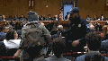 'You should be ashamed!': Protester dragged from Kristi Noem's Senate hearing - Fox News