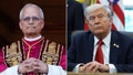Pope Leo picks new Vatican ambassador to US as Trump tensions mount over policies - Fox News