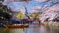 Tourist chaos erupts as cherry blossom festival is shut down, officials triple tax to curb crowds - Fox News