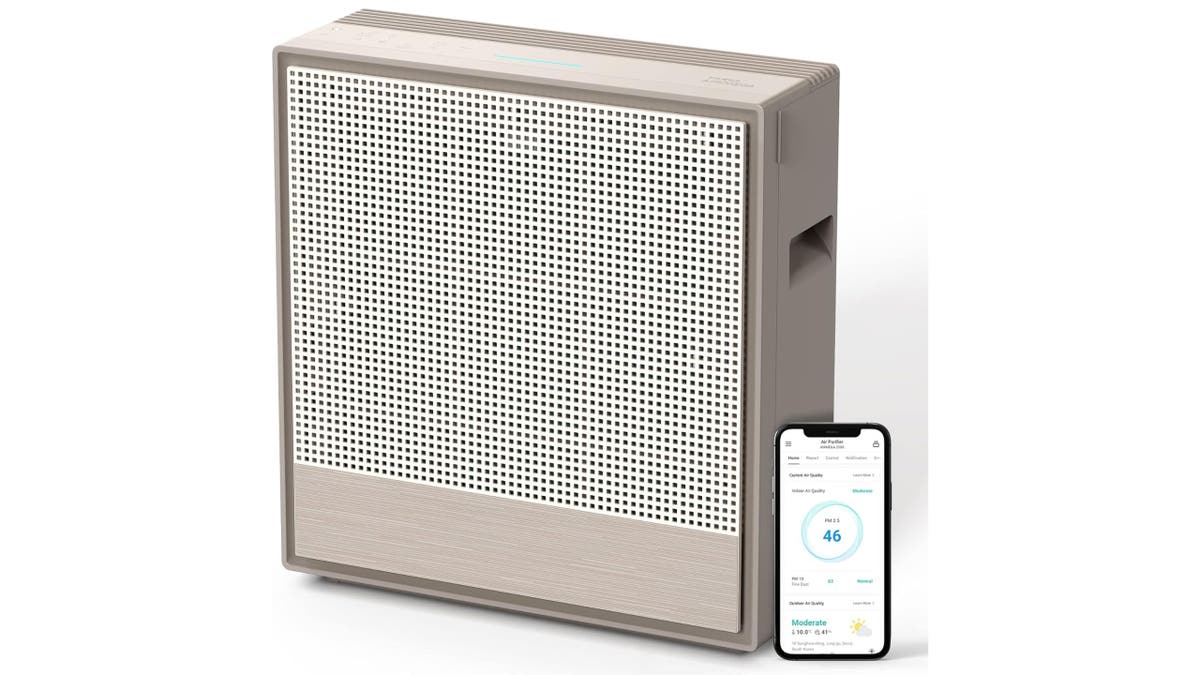 Clean the air in most of your home with this powerful purifier. 