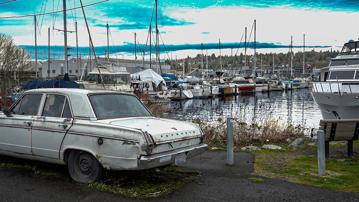 ballard-shoreline-along-salmon-bay-and-lake-washington-ship-canal
