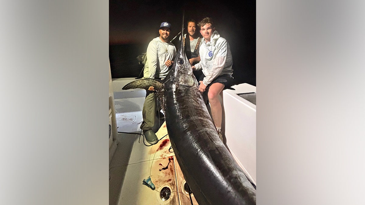 Florida Keys captain lands 480-pound swordfish with Pennsylvania