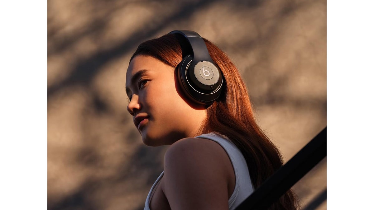 These premium headphones have great sound and a long battery life.