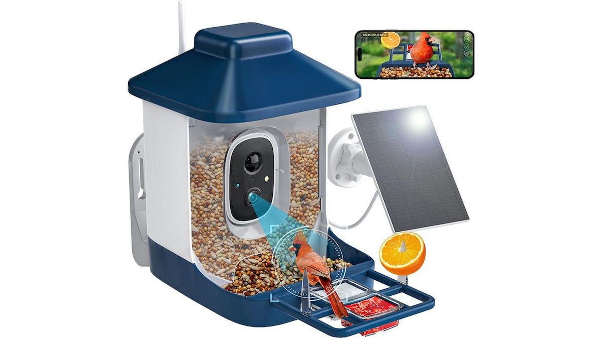 View your favorite birds from your smartphone.