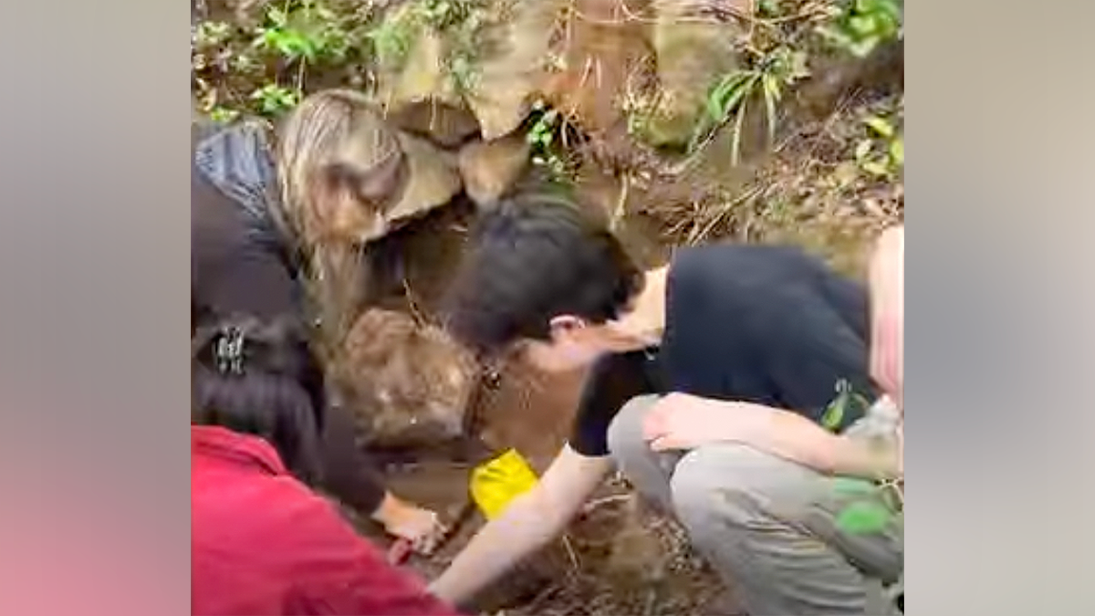 Los investigadores registran la orilla del arroyo donde se encontró un cráneo humano en Carolina del Sur