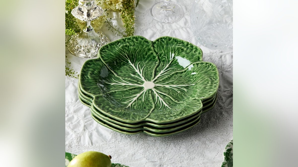 Verde fresco per i tuoi ambienti.