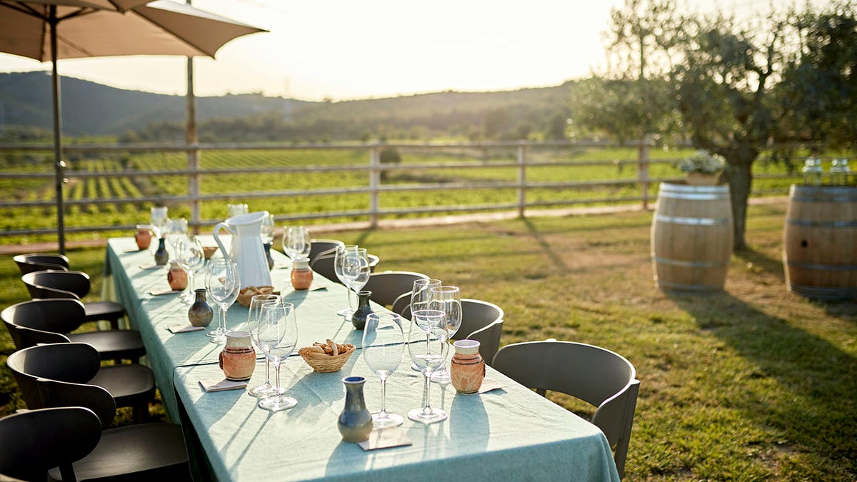 Unoccupied long table surrounded by chairs and laid with empty wine glasses, water pitcher, palate cleansers, and ceramic spittoons; vineyard in background.