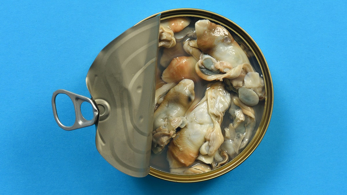 Open can of razor shells on blue background.