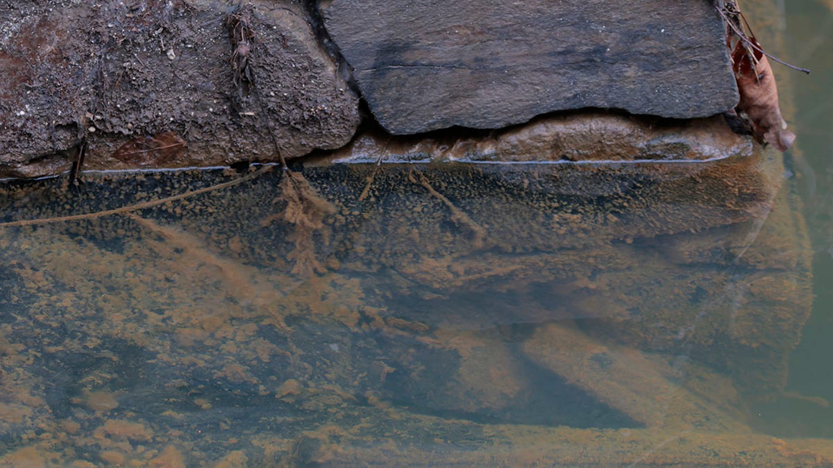 Water in the Potomac is seen on March 05, 2026 in Cabin John, Maryland.