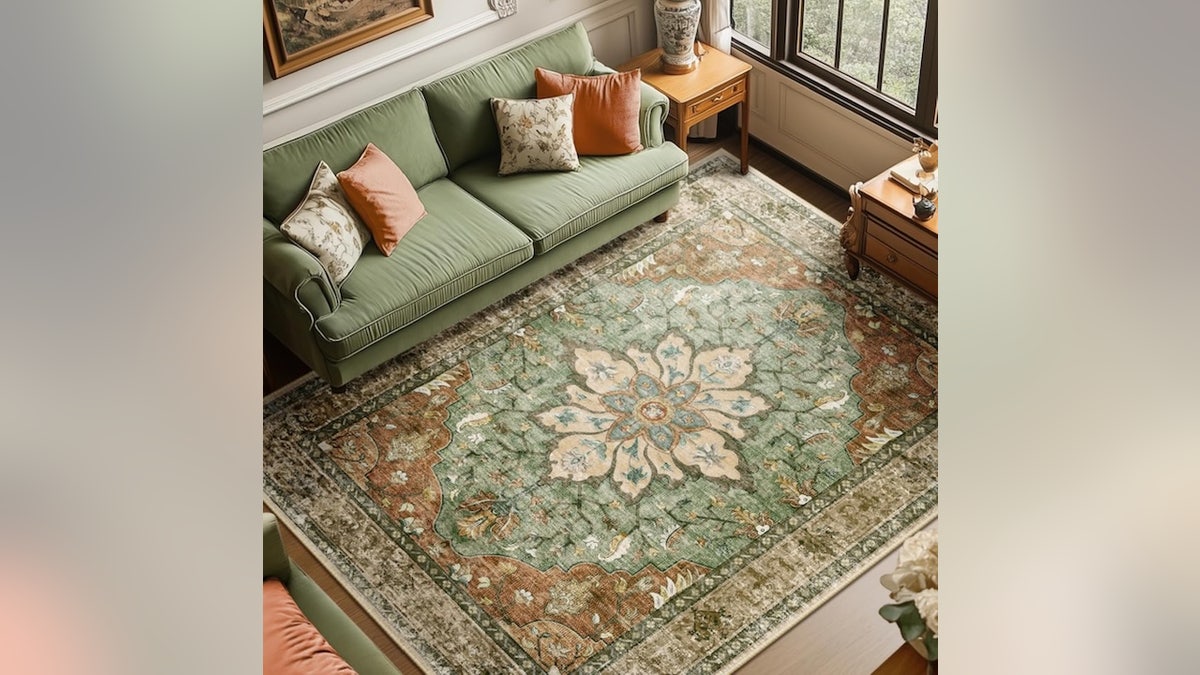 This large area rug will open up your room.