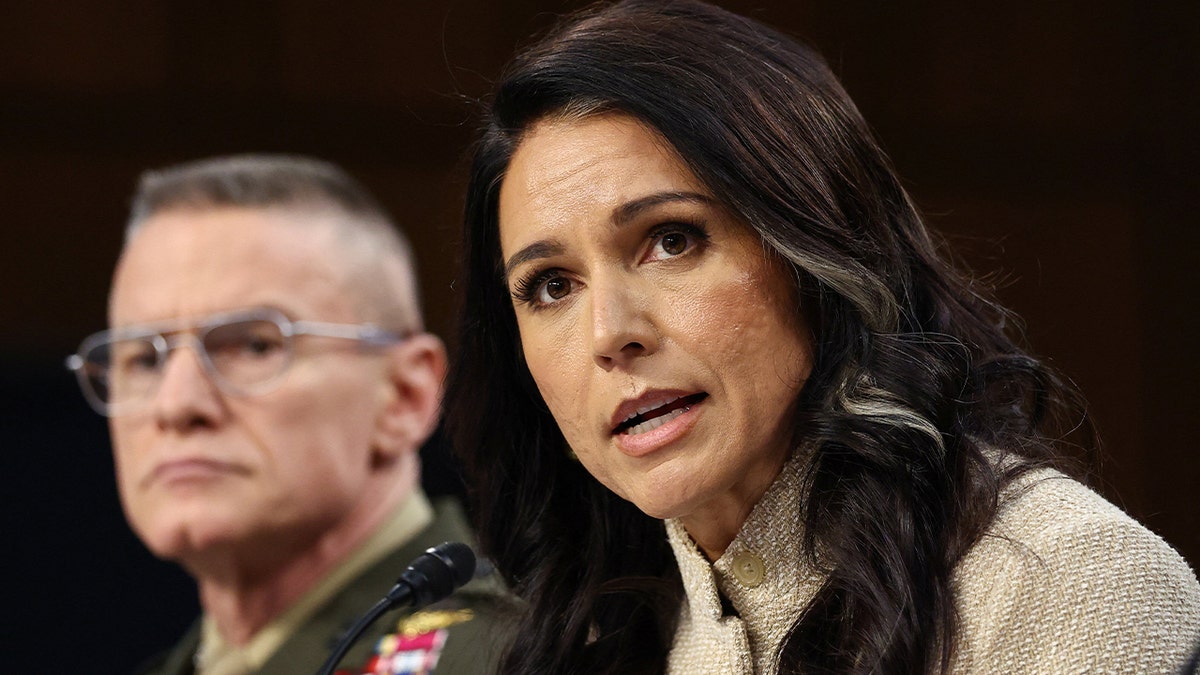 Tulsi Gabbard ath the Senate Intelligence Committee's worldwide threats hearing