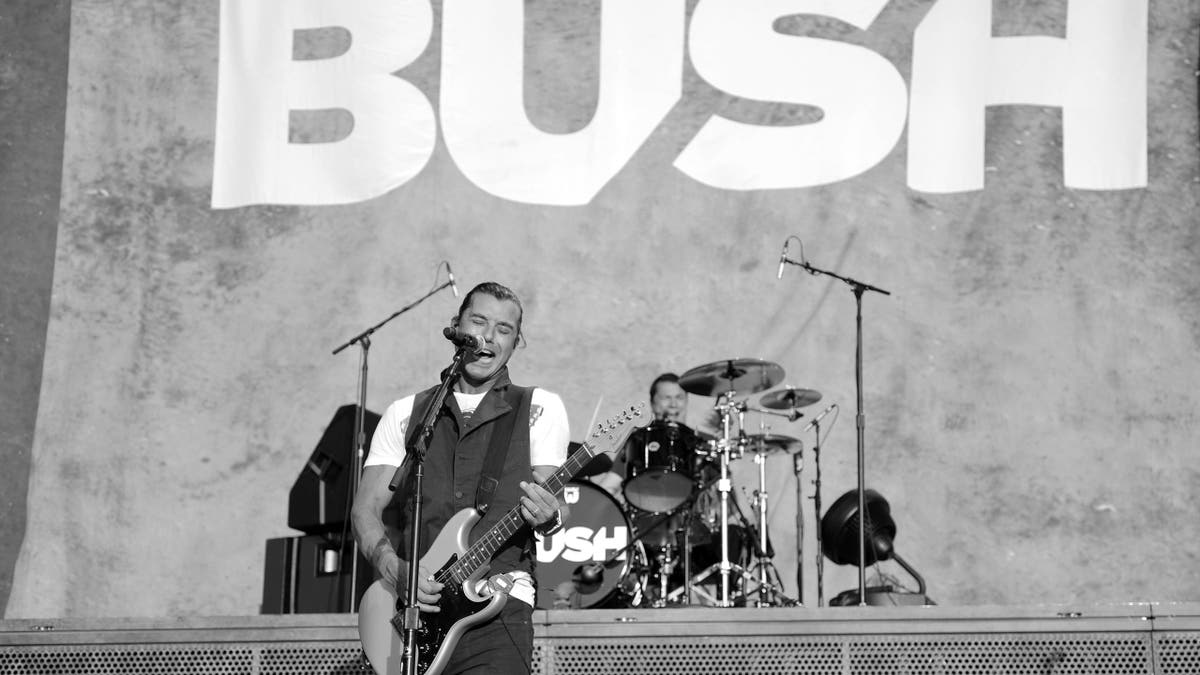 Gavin Rossdale Bush