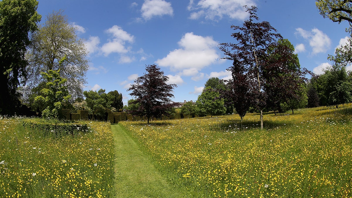 An aerial view of the meadows at Highgrove.
