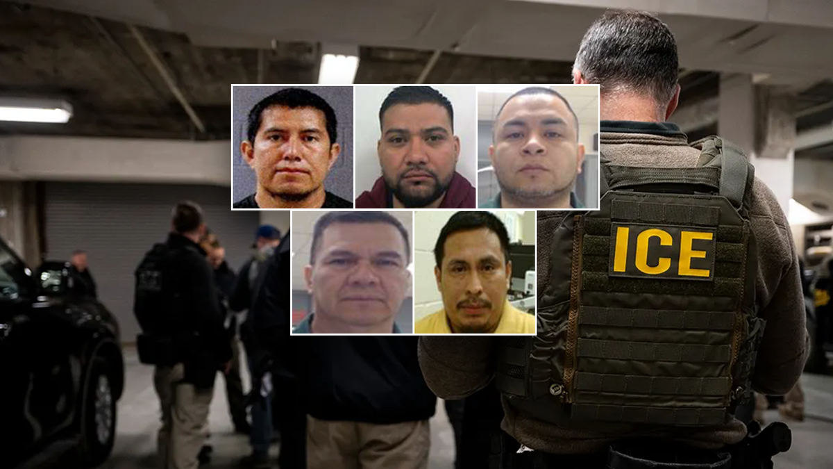 Illegal alien mugshots with ICE agents in the background