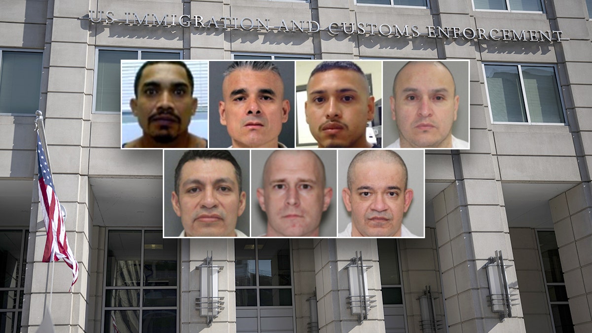A set of mugshots with ICE headquarters as the background