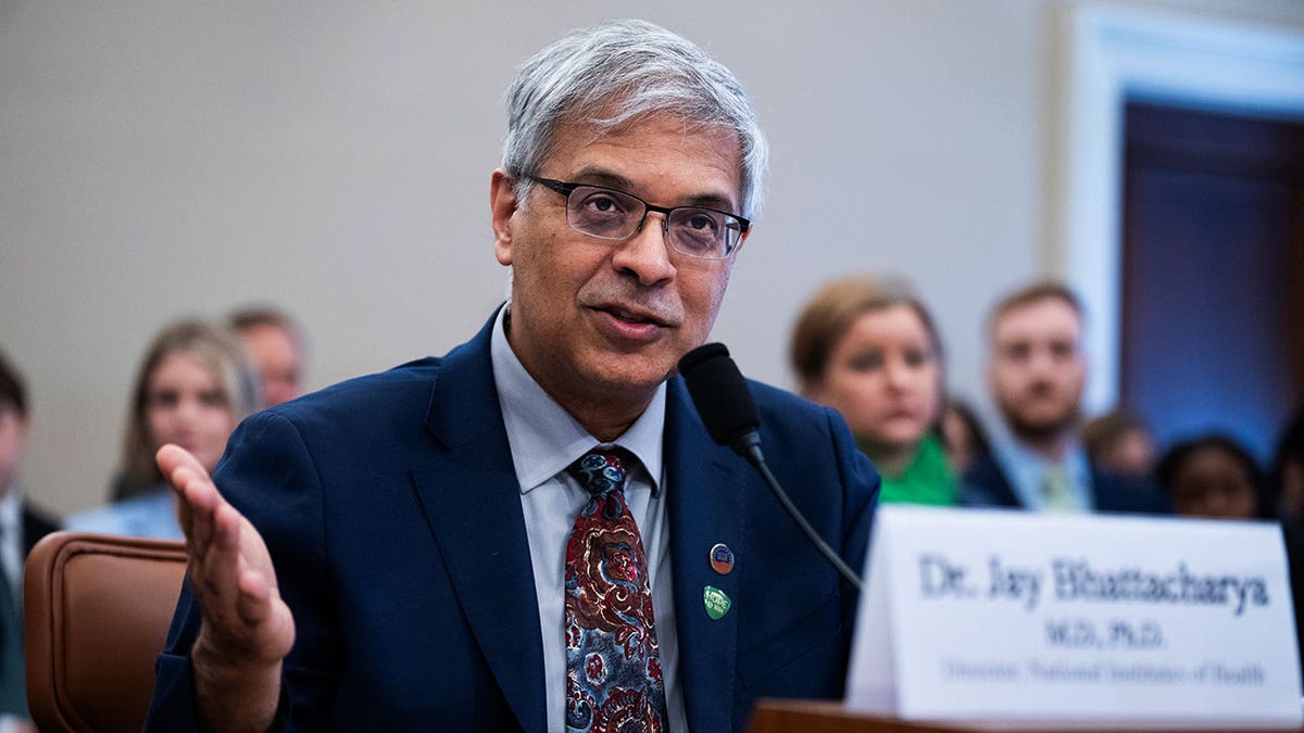 NIH Director Jay Bhattacharya testifies during the House Appropriations Subcommittee hearing.
