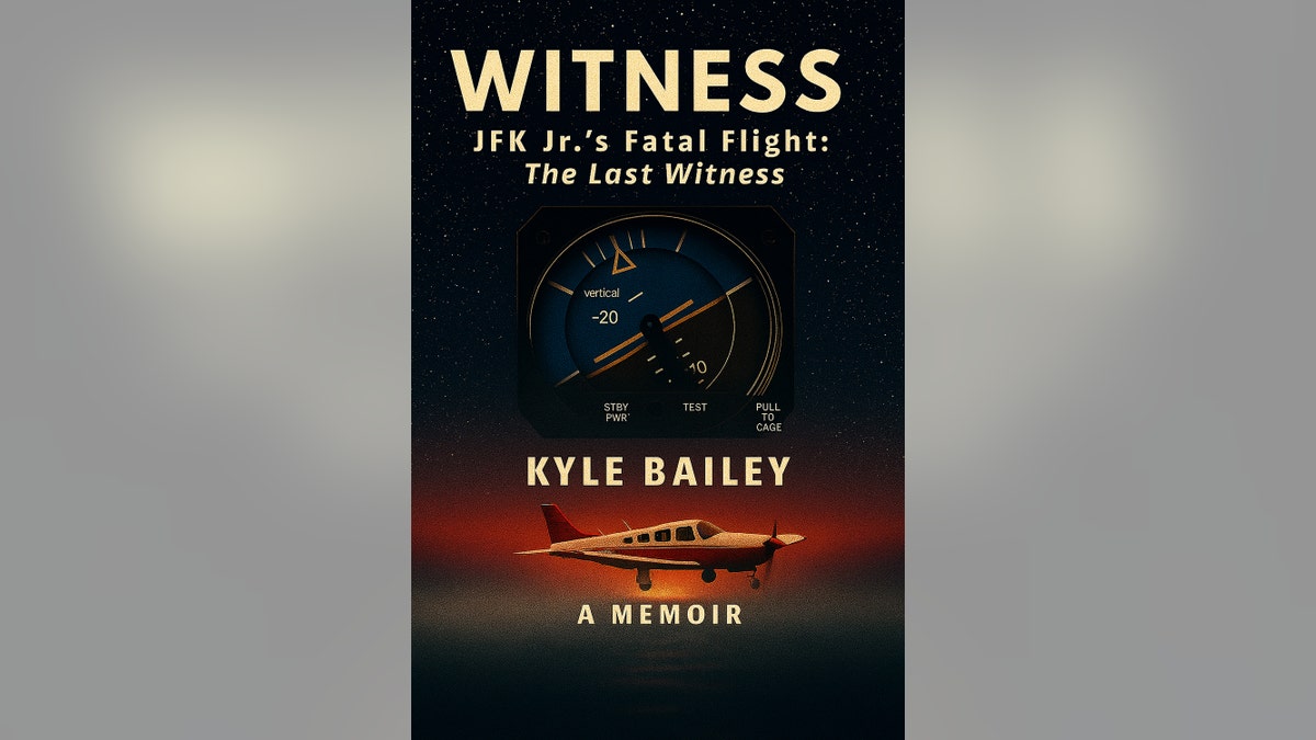 Book cover for Witness.
