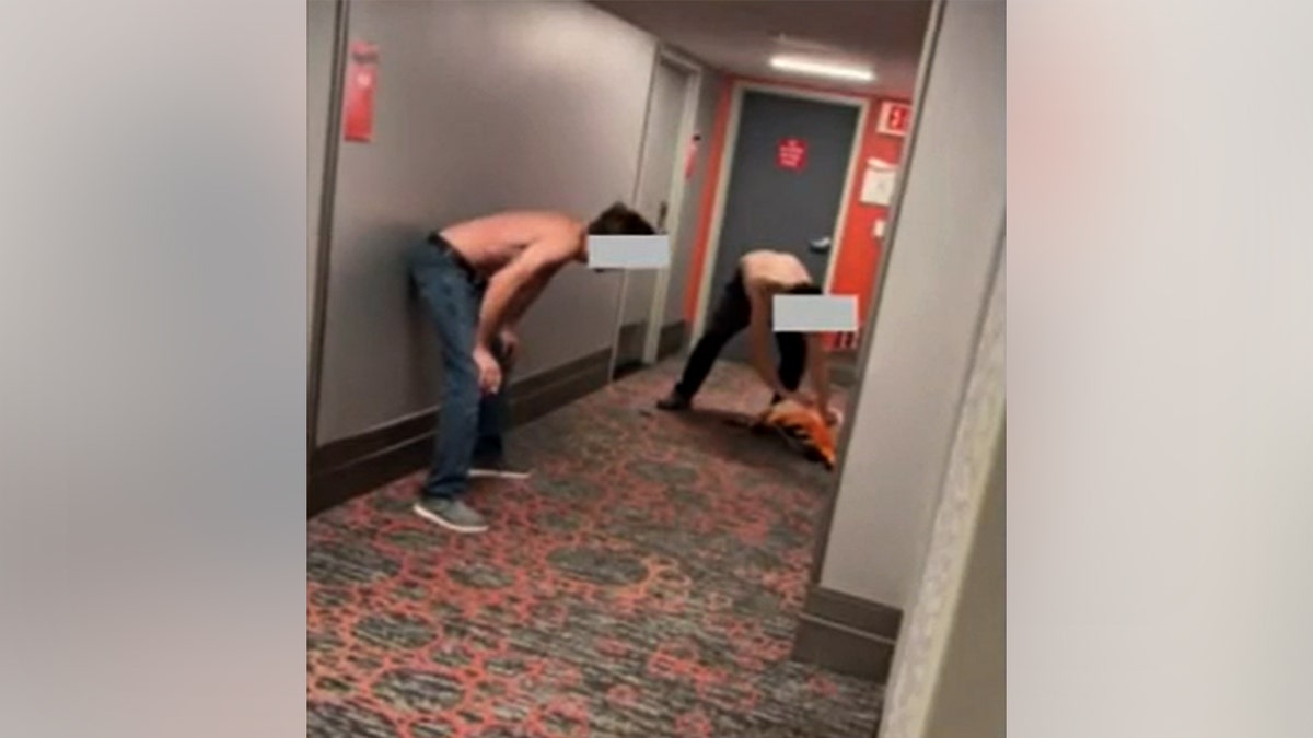 Two men in a hallway trying to grab a flamingo.