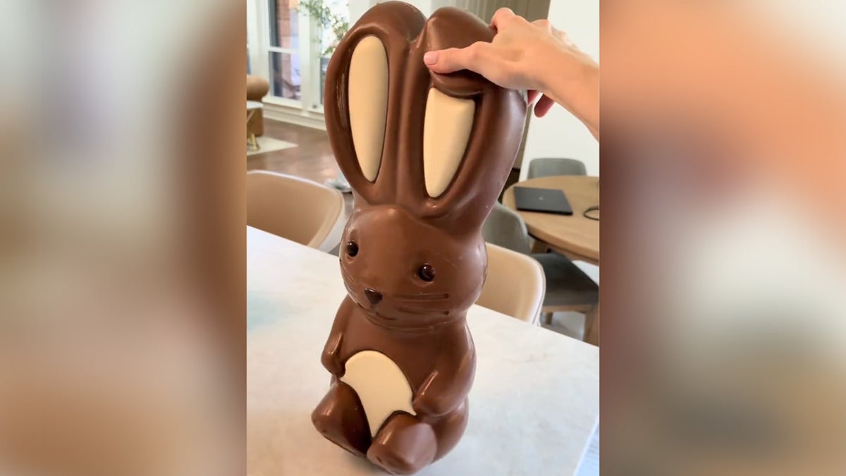 Giant chocolate bunny, made of white, dark and milk chocolate, seen on content creator's counter.