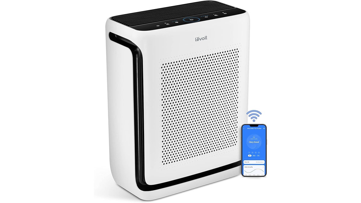Beat spring allergies with this large room air purifier.