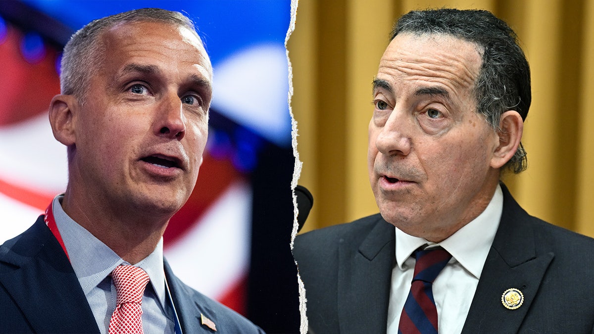 Raskin presses Jordan to subpoena Lewandowski over $220 million