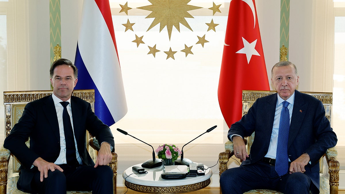 Recep Tayyip Erdogan e Mark Rutte