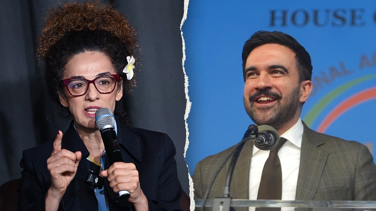 Alinejad and Mamdani