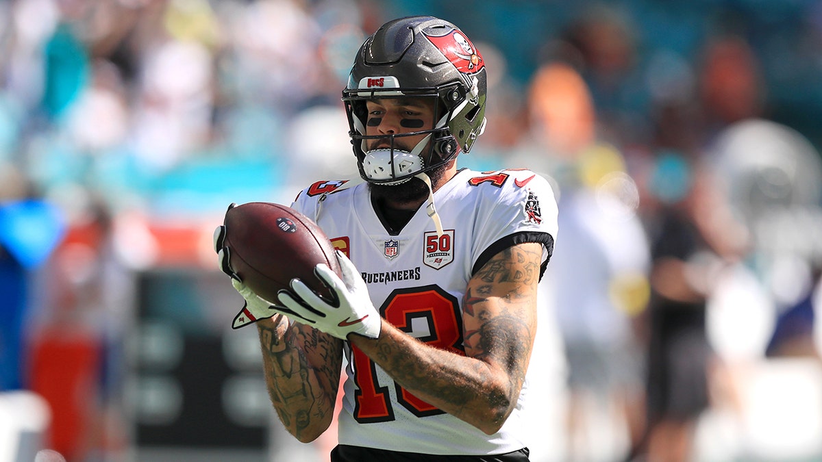 Mike Evans catch