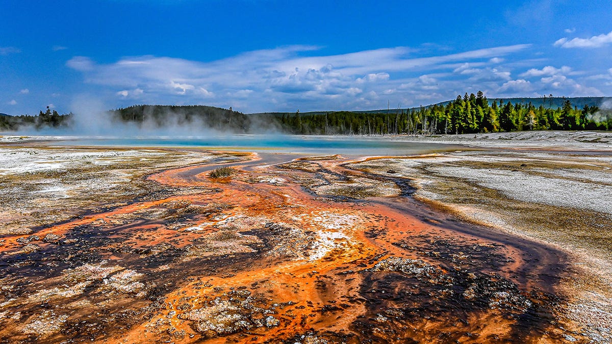 Thermal areas in Yellowstone are dangerous