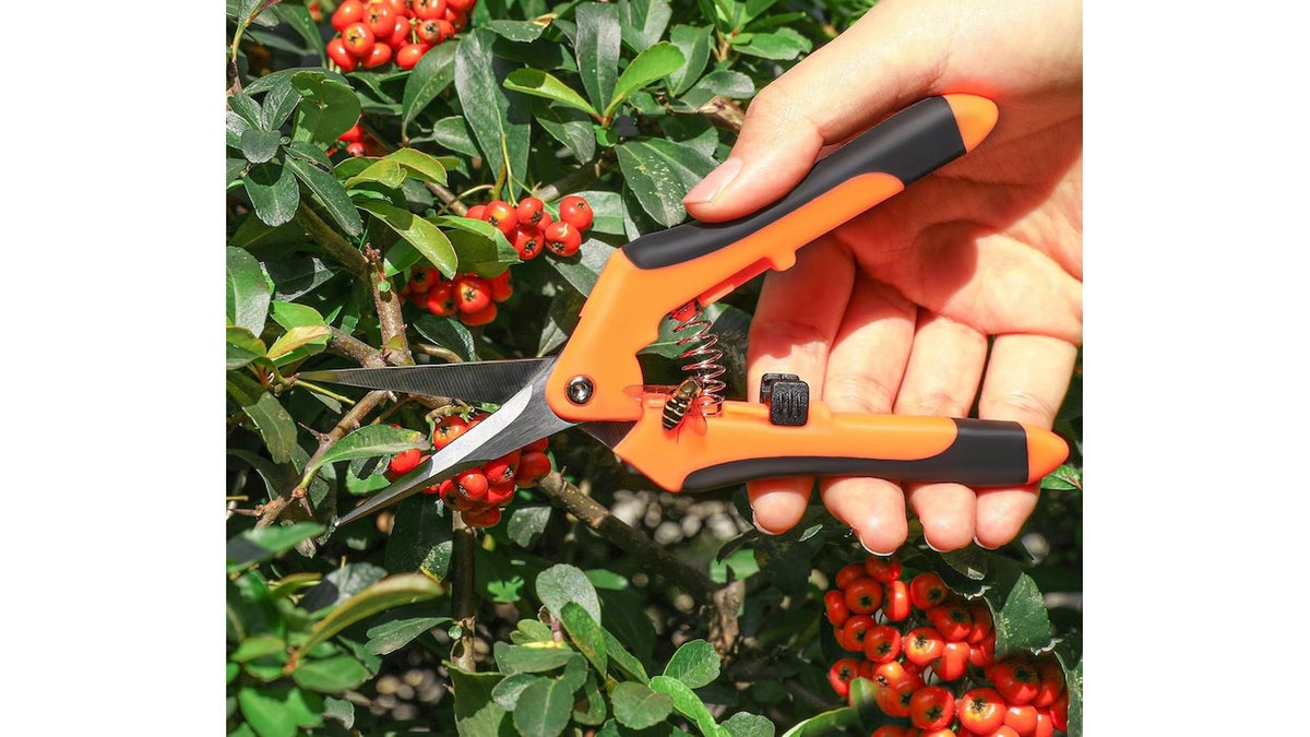 Tackle your garden pruning needs with this set.