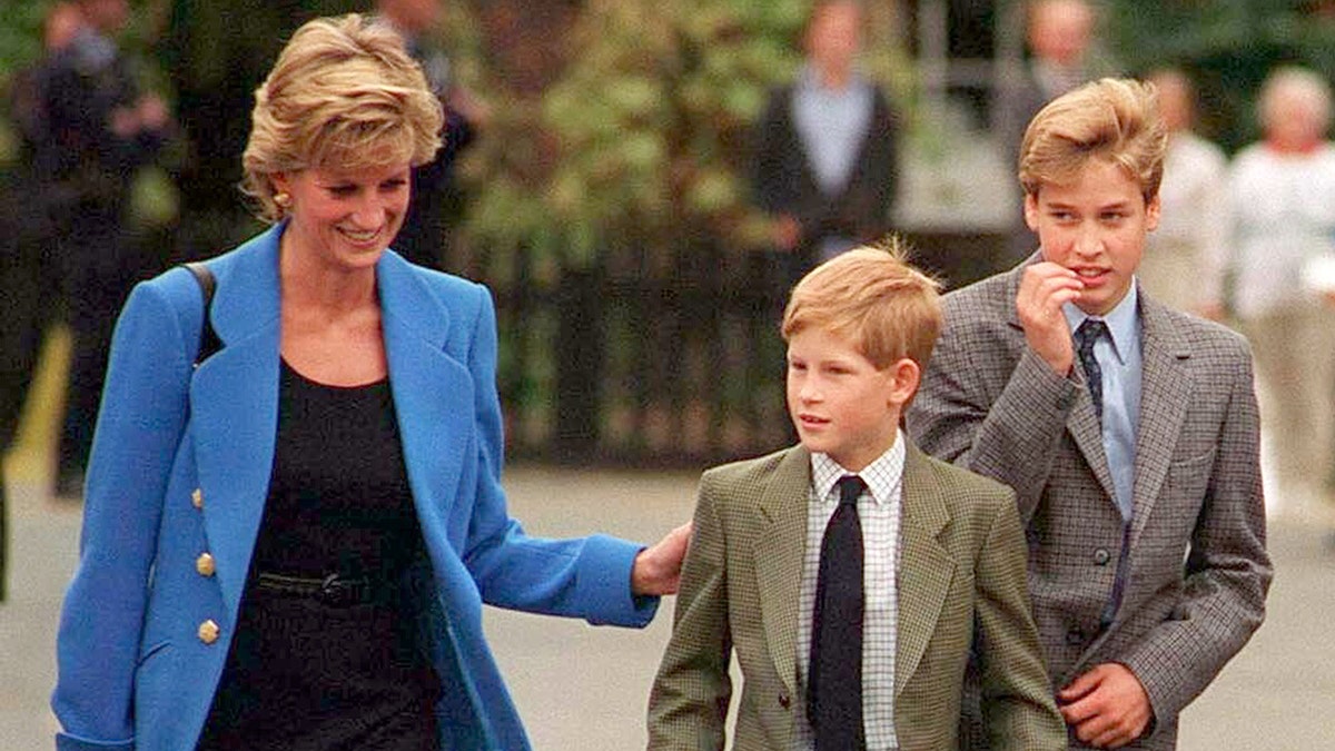 Princess Diana smiling with her hand on Prince Harry's shoulder as Prince William looks on.