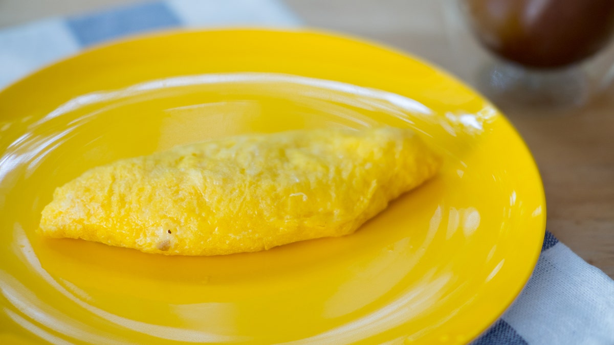 Omelet on plate