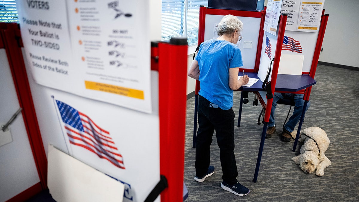 JONATHAN TURLEY: Virginia Democrats' map scheme faces judgment at the high court
