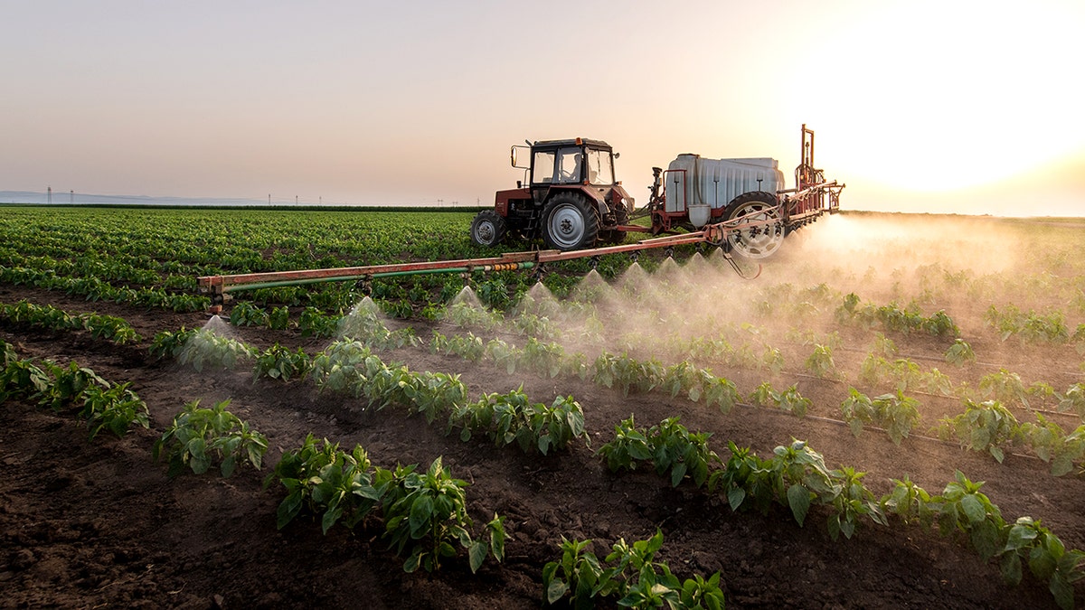 tractor spraying crops on a farm