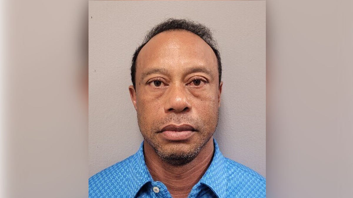 Tiger Woods mugshot