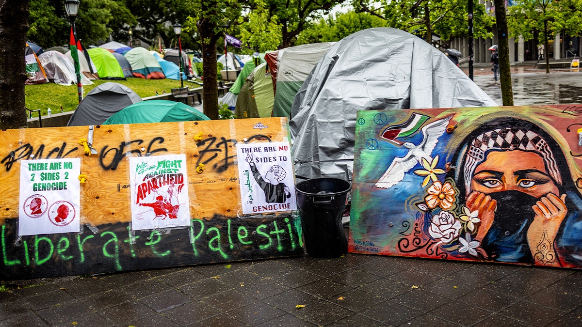 Pro-Palestinian encampment at UC Berkeley