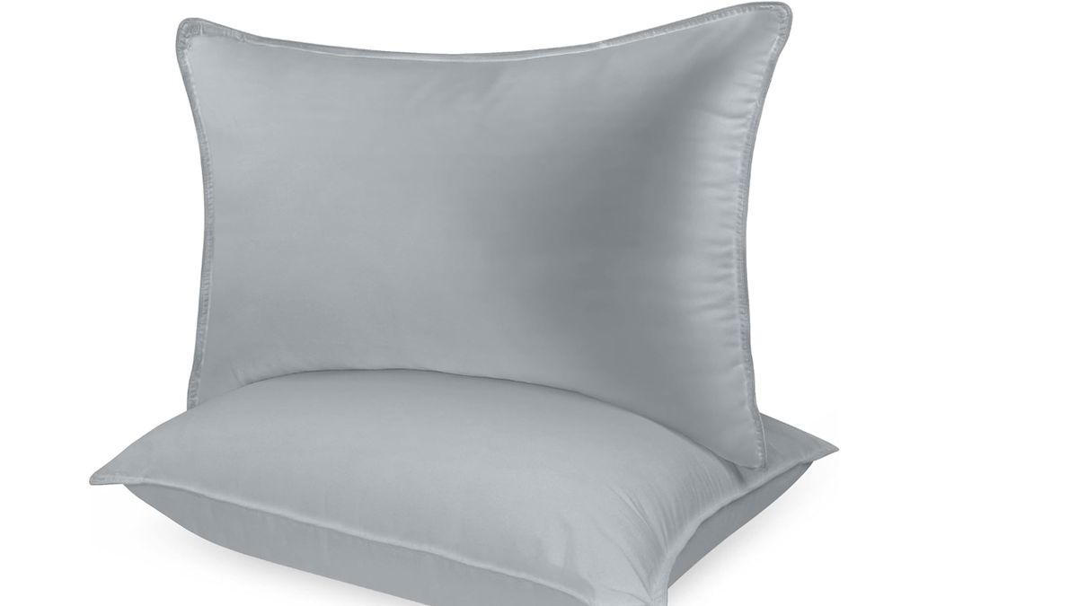 Check out these budget-friendly pillows available in a two-pack. 