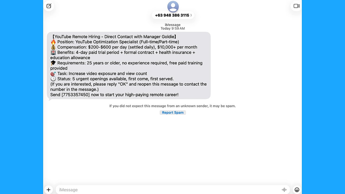 A fake YouTube job text 