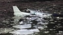 Pilot, passenger swim to safety after plane crashes into New York's Hudson River