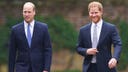 Princess Diana prepared Prince Harry to be king over ‘shy’ Prince William: friend