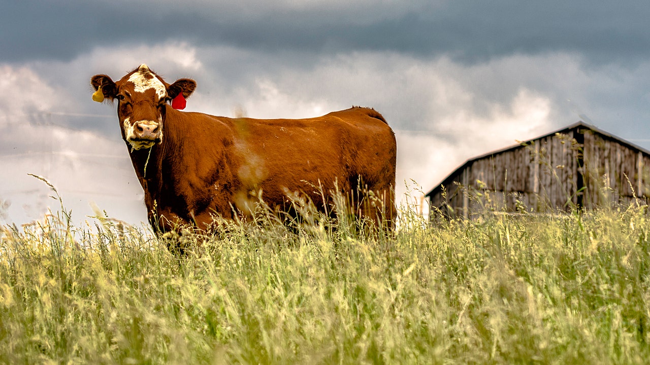 Kentucky farmland that was offered $26 million for AI data center construction