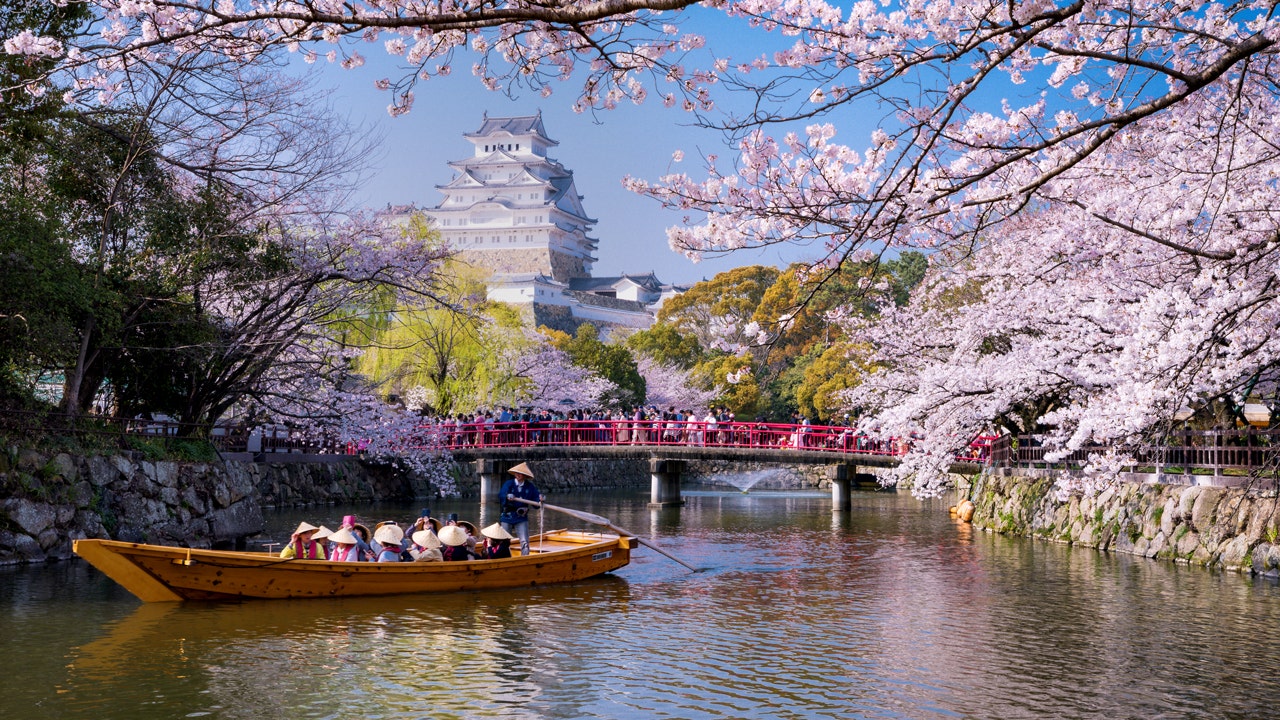 foxnews.com - Ashley DiMella - Tourist chaos erupts as cherry blossom festival is shut down, officials triple tax to curb crowds