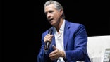 Gavin Newsom