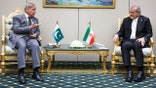Iranian President Pezeshkian meets with Pakistani PM Shehbaz.