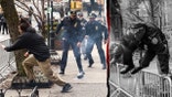 Emir Balat flees after throwing a homemade explosive device towards police
