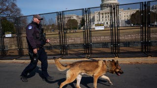 House Democrats vote against deporting immigrants who harm police dogs, horses