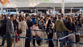 Airports beg flight passengers to change their travel habits after DHS shutdown jams lines