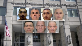 ICE Houston touts over 400 illegal alien child sex offenders arrested during Trump's first year back in office