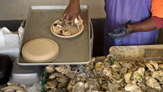 Sewage spill in Potomac River crushes oyster industry as seafood season ramps up: 'It's devastating us'