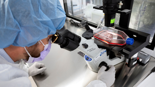 New cancer tech sends chemo straight to tumors